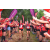 Team 20 / Raid Amazones Vietnam 2019 - J5 Trek