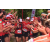 Team 144 / Raid Amazones Vietnam 2019 - J5 Trek