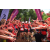 Team 144 / Raid Amazones Vietnam 2019 - J5 Trek