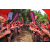 Raid Amazones Vietnam 2019 - J5 Trek