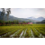 Raid Amazones Vietnam 2019 - J5 Trek