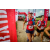 Team 116 / Raid Amazones Vietnam 2019 - J5 Trek