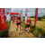 Team 30 / Raid Amazones Vietnam 2019 - J5 Trek