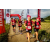 Team 34 / Raid Amazones Vietnam 2019 - J5 Trek