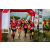 Team 64 / Raid Amazones Vietnam 2019 - J5 Trek