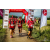 Team 43 / Raid Amazones Vietnam 2019 - J5 Trek