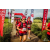 Team 43 / Raid Amazones Vietnam 2019 - J5 Trek