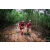 Team 07 / Raid Amazones Vietnam 2019 - J5 Trek