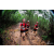 Team 132 / Raid Amazones Vietnam 2019 - J5 Trek