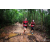 Team 49 / Raid Amazones Vietnam 2019 - J5 Trek