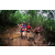 Team 116 / Raid Amazones Vietnam 2019 - J5 Trek