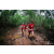Team 106 / Raid Amazones Vietnam 2019 - J5 Trek