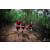Team 112 / Raid Amazones Vietnam 2019 - J5 Trek