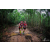 Team 123 / Raid Amazones Vietnam 2019 - J5 Trek