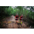 Team 33 / Raid Amazones Vietnam 2019 - J5 Trek