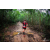 Team 35 / Raid Amazones Vietnam 2019 - J5 Trek