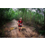 Team 35 / Raid Amazones Vietnam 2019 - J5 Trek