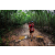 Team 114 / Raid Amazones Vietnam 2019 - J5 Trek
