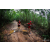 Team 114 / Raid Amazones Vietnam 2019 - J5 Trek