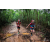 Team 63 / Raid Amazones Vietnam 2019 - J5 Trek