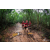 Team 129 / Raid Amazones Vietnam 2019 - J5 Trek