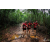 Team 115 / Raid Amazones Vietnam 2019 - J5 Trek