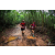 Team 41 / Raid Amazones Vietnam 2019 - J5 Trek