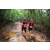 Team 95 / Raid Amazones Vietnam 2019 - J5 Trek