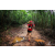 Team 80 / Raid Amazones Vietnam 2019 - J5 Trek