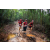 Team 117 / Raid Amazones Vietnam 2019 - J5 Trek