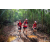 Team 133 / Raid Amazones Vietnam 2019 - J5 Trek
