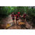 Team 138 / Raid Amazones Vietnam 2019 - J5 Trek