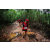 Team 27 / Raid Amazones Vietnam 2019 - J5 Trek