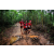 Team 135 / Raid Amazones Vietnam 2019 - J5 Trek