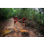 Team 42 / Raid Amazones Vietnam 2019 - J5 Trek