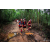 Team 110 / Raid Amazones Vietnam 2019 - J5 Trek