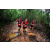 Team 124 / Raid Amazones Vietnam 2019 - J5 Trek