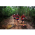 Team 127 / Raid Amazones Vietnam 2019 - J5 Trek