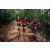 Team 121 / Raid Amazones Vietnam 2019 - J5 Trek