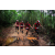 Team 74 / Raid Amazones Vietnam 2019 - J5 Trek