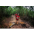 Team 83 / Raid Amazones Vietnam 2019 - J5 Trek