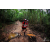 Team 75 / Raid Amazones Vietnam 2019 - J5 Trek