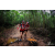 Team 84 / Raid Amazones Vietnam 2019 - J5 Trek