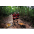 Team 57 / Raid Amazones Vietnam 2019 - J5 Trek