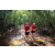 Team 04 / Raid Amazones Vietnam 2019 - J5 Trek