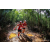 Team 88 / Raid Amazones Vietnam 2019 - J5 Trek