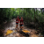 Team 44 / Raid Amazones Vietnam 2019 - J5 Trek
