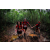 Team 105 / Raid Amazones Vietnam 2019 - J5 Trek