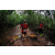 Team 101 / Raid Amazones Vietnam 2019 - J5 Trek