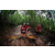 Team 125 / Raid Amazones Vietnam 2019 - J5 Trek